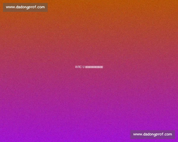 WRC U 型弯：方寸之间的策略博弈